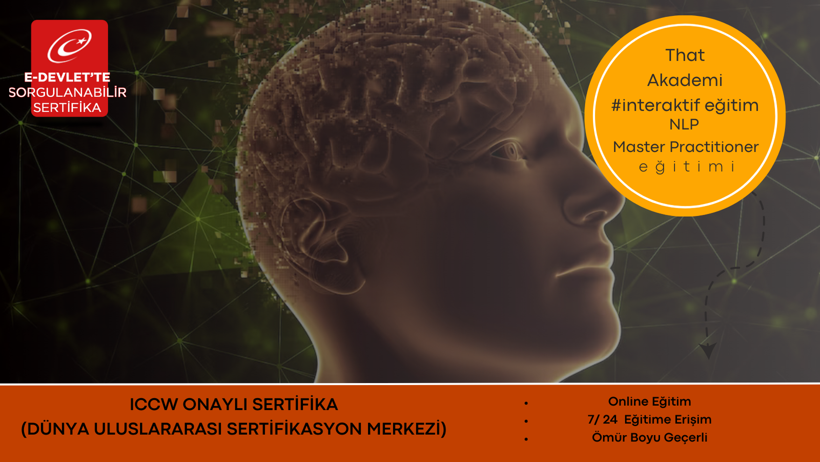 NLP Master Practitioner Eğitimi